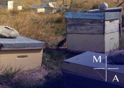 MANUKA HONEY BUSINESS INVESTMENT OPPORTUNITY NEW ZEALAND