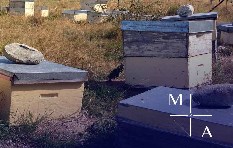 MANUKA HONEY BUSINESS INVESTMENT OPPORTUNITY NEW ZEALAND