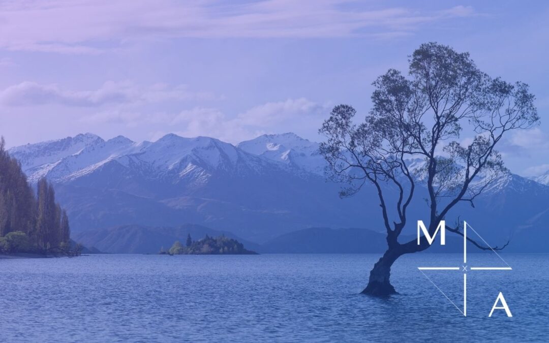 WANAKA PREMIUM ACCOMMODATION MANAGEMENT + FREEHOLD  |  NEW ZEALAND